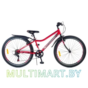 Горный велосипед Favorit Buffalo 24VS BUF24V12RD